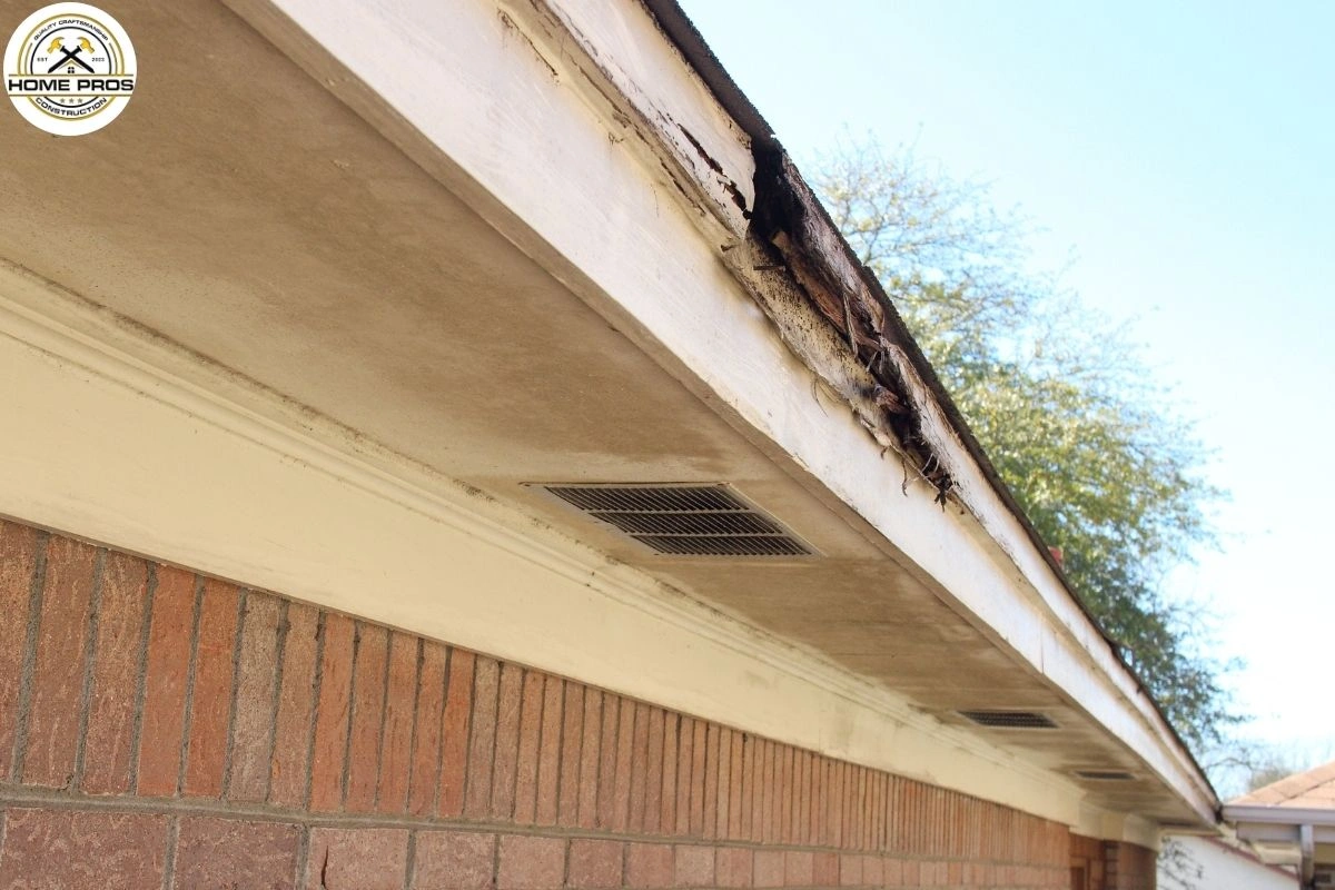 Commercial Dry Rot repair