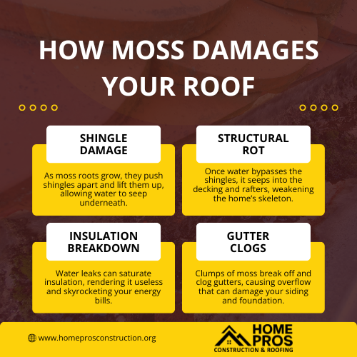 How moss damages shingles and insulation, leading to leaks and costly roof repair in Eugene, Oregon
